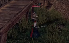 <b>决战私服下一站江湖2荒漠之花任务如何完成 下一</b>